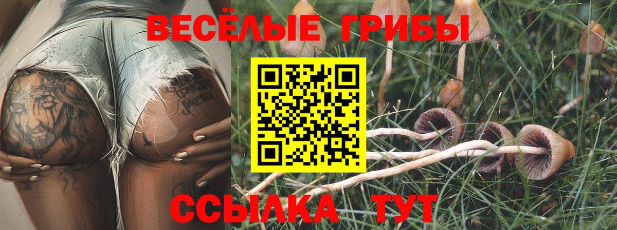 Псилоцибиновые грибы мухоморы Мытищи
