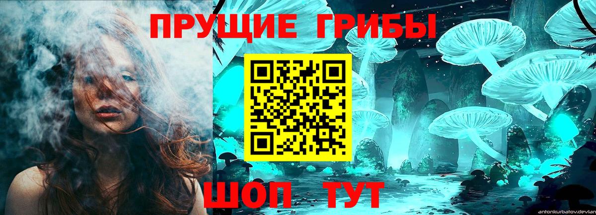 Мытищи  Галлюциногенные грибы Magic Shrooms  магазин  наркотиков  Вход с VPN 